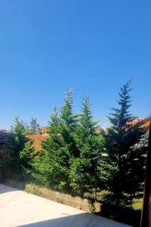 MaxLux Apartment - Niš - 9