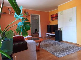 Parkside Spacious Gem - 9