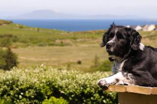 The Hut at Baywatch Bed & Breakfast - 7