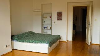 Sunny Room by the river in a Shared Apartment - Prag - 5