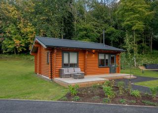 Gadgirth Estate Lodges - Annbank - 2