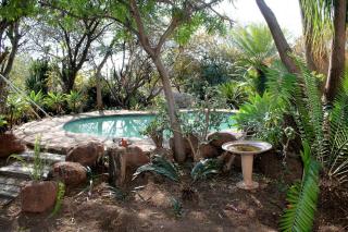 Ndlovu 41 Holiday Home in Dinokeng Big 5 Reserve - Vosburg - 3