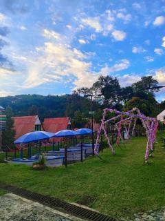 Ecohotel Java - Manizales - 7