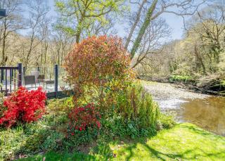 Notter Bridge Holiday Park - Landrake - 1
