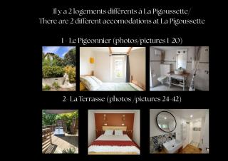La Pigoussette - Valensole - 7