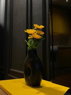 Studio with a City View Black & Yellow Edition - Pristina - 4