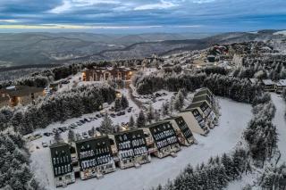 Leatherbark 202B 2BR 2BA Cute Cozy Gated Parking - 1