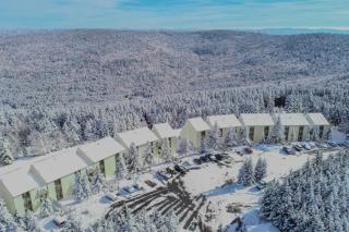 Leatherbark 202B 2BR 2BA Cute Cozy Gated Parking - 5