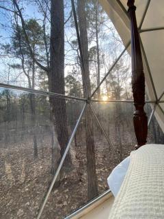Beloved Cabin - Zen Retreat Dome - Eatonton - 2