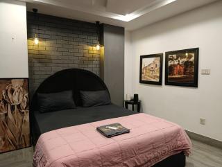 Brick Accent Loft 1BHK with Balcony & Free Netflix - Rawalpindi - 3
