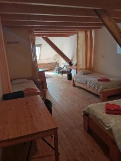 Boerderij De Diek'n - Zeerijp - 8
