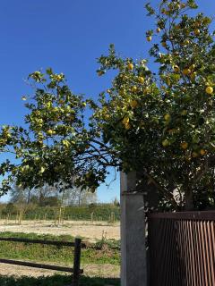 Maison de vacances moderne et pratique : WiFi, clim, parking et cour privée - 6