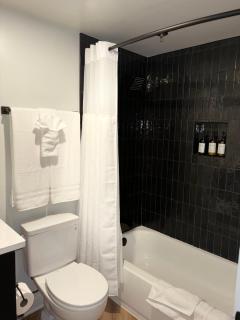 Stylish 2BR-2BA Rosslyn - Arlington - 3