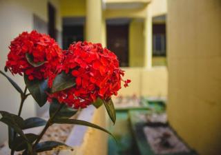 Hotel Santo Antoninho - Goiânia - 1