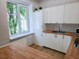 Large Apartment in The Old Town Center - Vilnius - 5