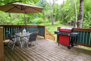 Modern Cabin Retreat with Patio & Outdoor Firepit - 6