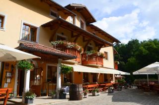 Farm Stay Peternelj - 9