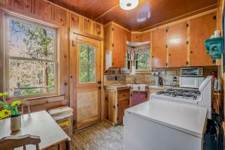 Walden in the Woods - Idyllwild - 3