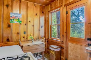 Walden in the Woods - Idyllwild - 4