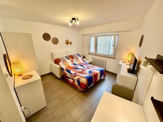 Studio Cosy Centre ville - Wissembourg - 4