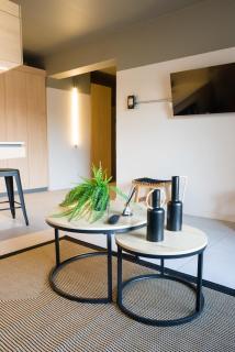 Charming 1BE 1BA Retreat in Providencia - Santiago - 3