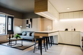 Charming 1BE 1BA Retreat in Providencia - Santiago - 8