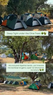 Unique Stay at Olive Camping - Himare - 6