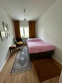 The Modern Fifties - 5