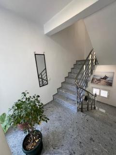 Apartmani PERICIC SUTOMORE NEW HOUSE - Sutomore - 6
