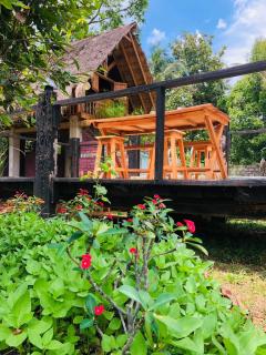 Serene Lodge- Habarana - Moragaswewa - 5