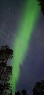 Ylläs Chalets IX 9502 - Kolari - 6