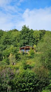 Coqslitscaux - Fécamp - 9