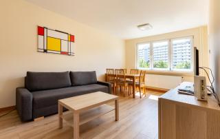 Lecha Comfort Apartment by BookingHost - Danzig - 0