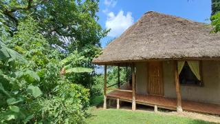 Sharp Island Gorilla Lodge, Lake Bunyonyi - Kashasha - 8
