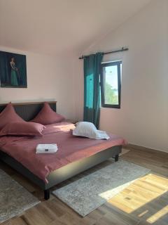 Rustic House Cernica - Cernica - 9