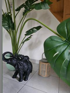 Le Héron Bleu - Proche passerelle et cathédrale - 6