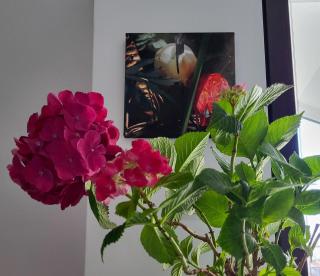 Уютная квартира рядом с центром Бургаса - 5