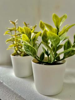 Torremolinos Amanecer - 3