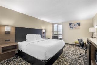 Best Western Plus York Hotel and Conference Center - 8