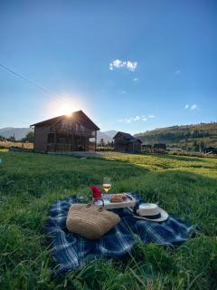 Carpathian House - Krasnik - 8