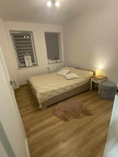 Apartament Wiktoria - 3