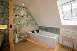 L'Exotique Baignoire Double Cozy Duplex - Haguenau - 5