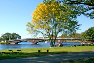 Harvard Squares ONLY Tiny House on the Charles! - 2