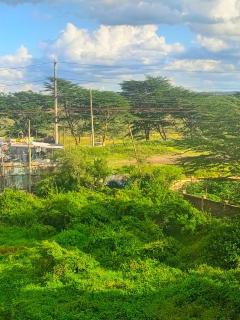 Comfort with view of Nairobi National Park - 2