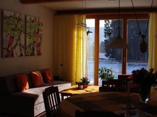 Margarete Finner 1 Comfortable holiday residence - Titisee-Neustadt - 5