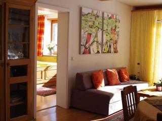 Margarete Finner 1 Comfortable holiday residence - Titisee-Neustadt - 4