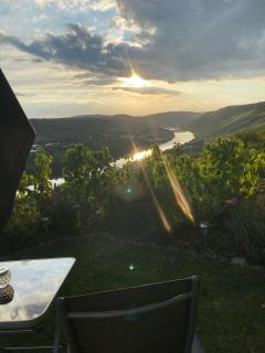 Apartment an der Mosel 2 - Graach - 4