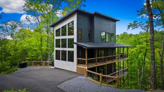 Black Bear Tower - 4