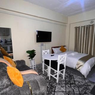 The Glad Studio apartment - Nairobi - 5