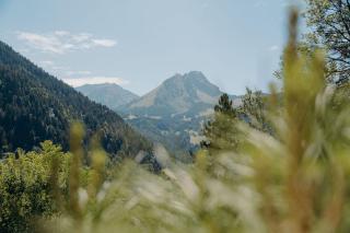 Chalet Flachaire - Abondance - 4